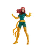 Bounty Collectibles & Toys - Marvel Legends Series Jean Grey and Phoenix Force, Comics Action Figure