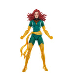 Bounty Collectibles & Toys - Marvel Legends Series Jean Grey and Phoenix Force, Comics Action Figure